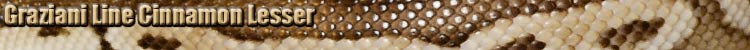 Graziani Cinnamon Lesser Display